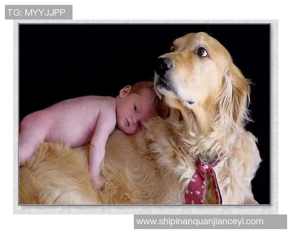 足球明星与可爱狗狗的温馨瞬间分享与回忆