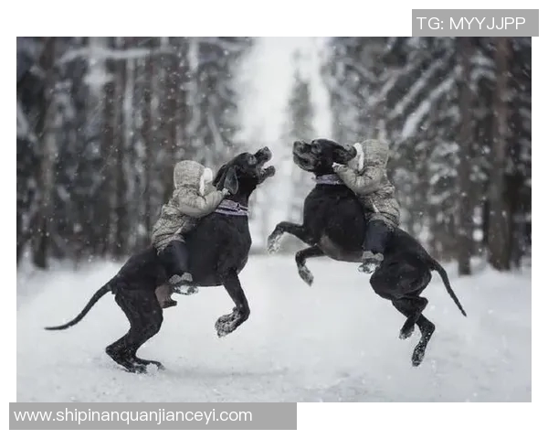 足球明星与他们的宠物们:那些令人心动的友情故事与温馨瞬间 足球明星与他们的宠物们:那些令人心动的友情故事与温馨瞬间