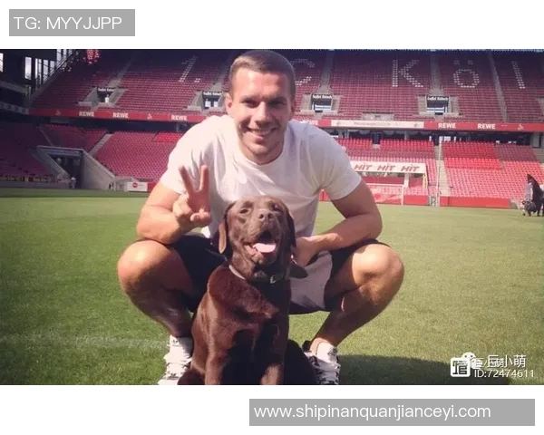 足球明星与爱犬的温馨瞬间大揭秘精美图片展示你不知道的宠物故事