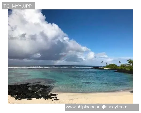 足球明星与海洋奇遇记高清抱鱼瞬间展现运动与自然的完美结合