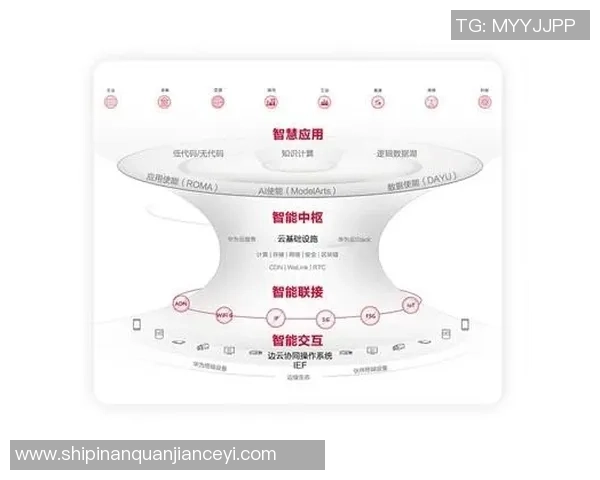数据分析揭示IG灵活性表现的深度与广度探讨