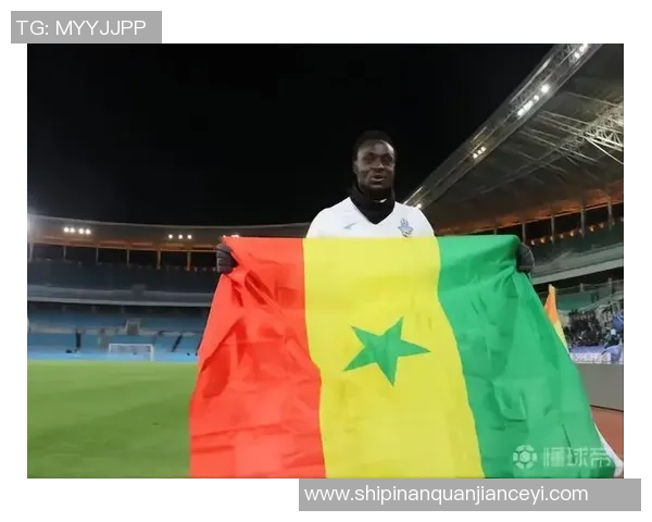 足球明星桑戈尔的传奇旅程与对未来的展望